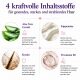 Dreifach starke Proteintherapie für das Haar: Shampoo (1000 g), Conditioner (1000 g) und Maske (1000 g) + Glättungsbürste als Geschenk
